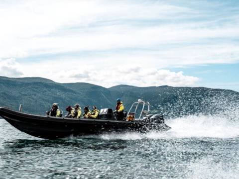 fast sightseeing rib guide